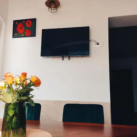 Apartman Mariana * 比奥格勒·纳·莫鲁